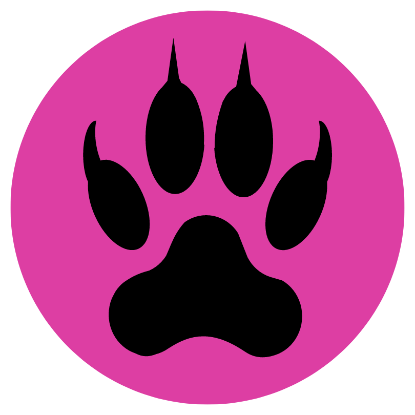 wolf black paw