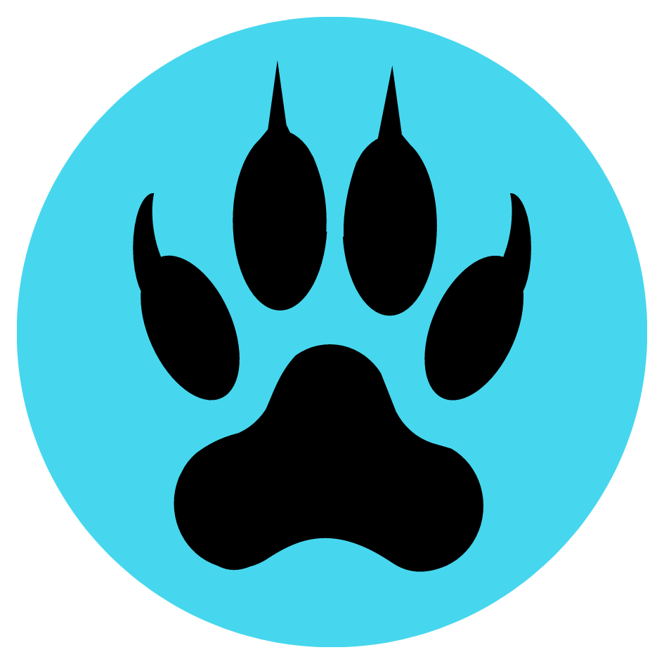 wolf black paw teal