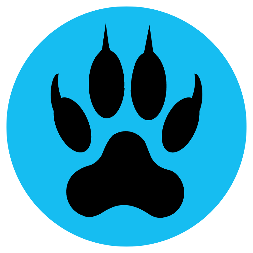 wolf black paw wolf black paw