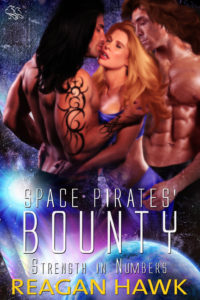 Book Cover for Space Pirates Bounty